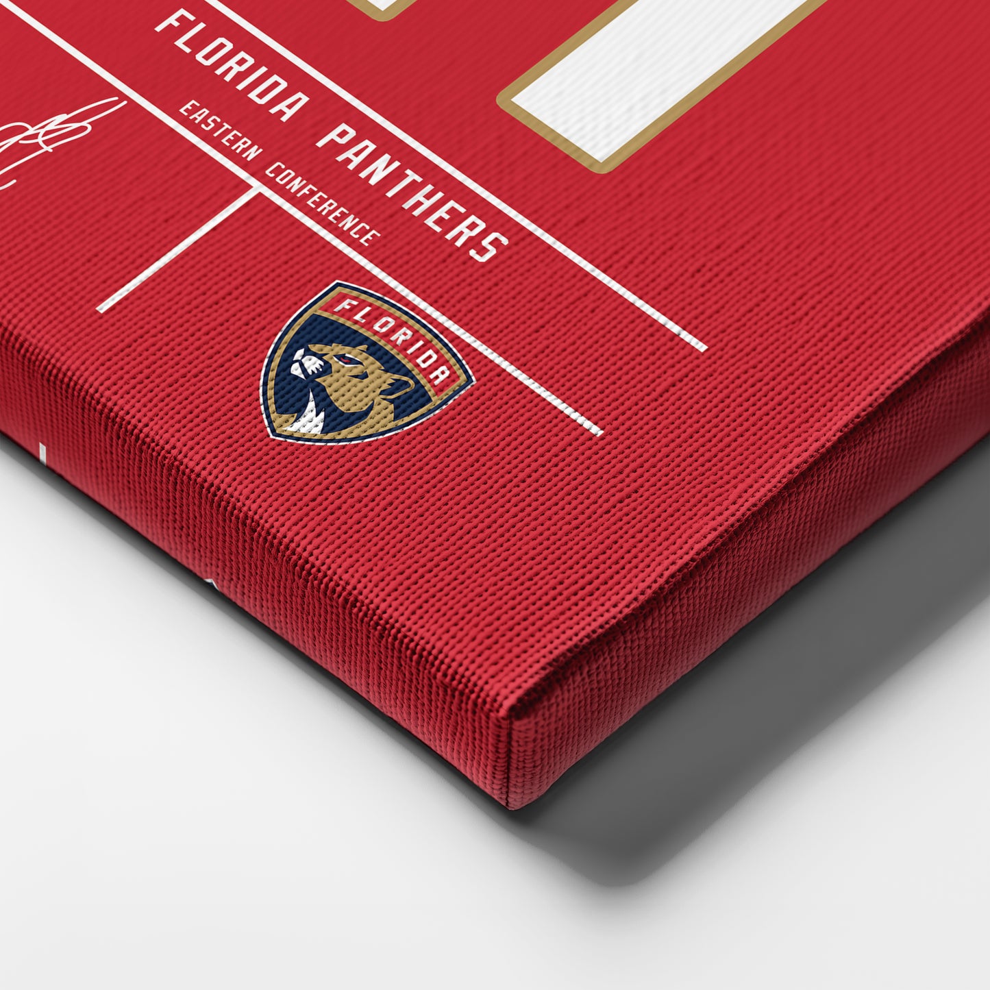 Anthony Stolarz Panthers Jersey Canvas Print | Wall Art Decor