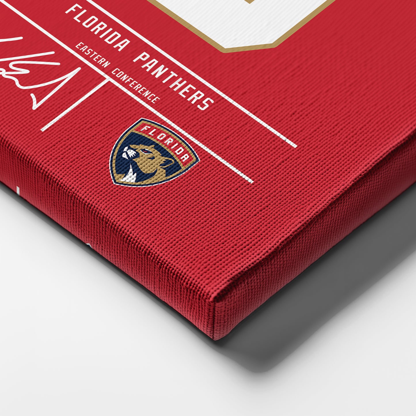 Aaron Ekblad Panthers Jersey Canvas Print | Wall Art Decor