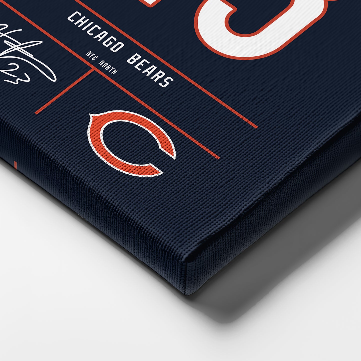 Devin Hester Bears Jersey Canvas Print | Wall Art Decor