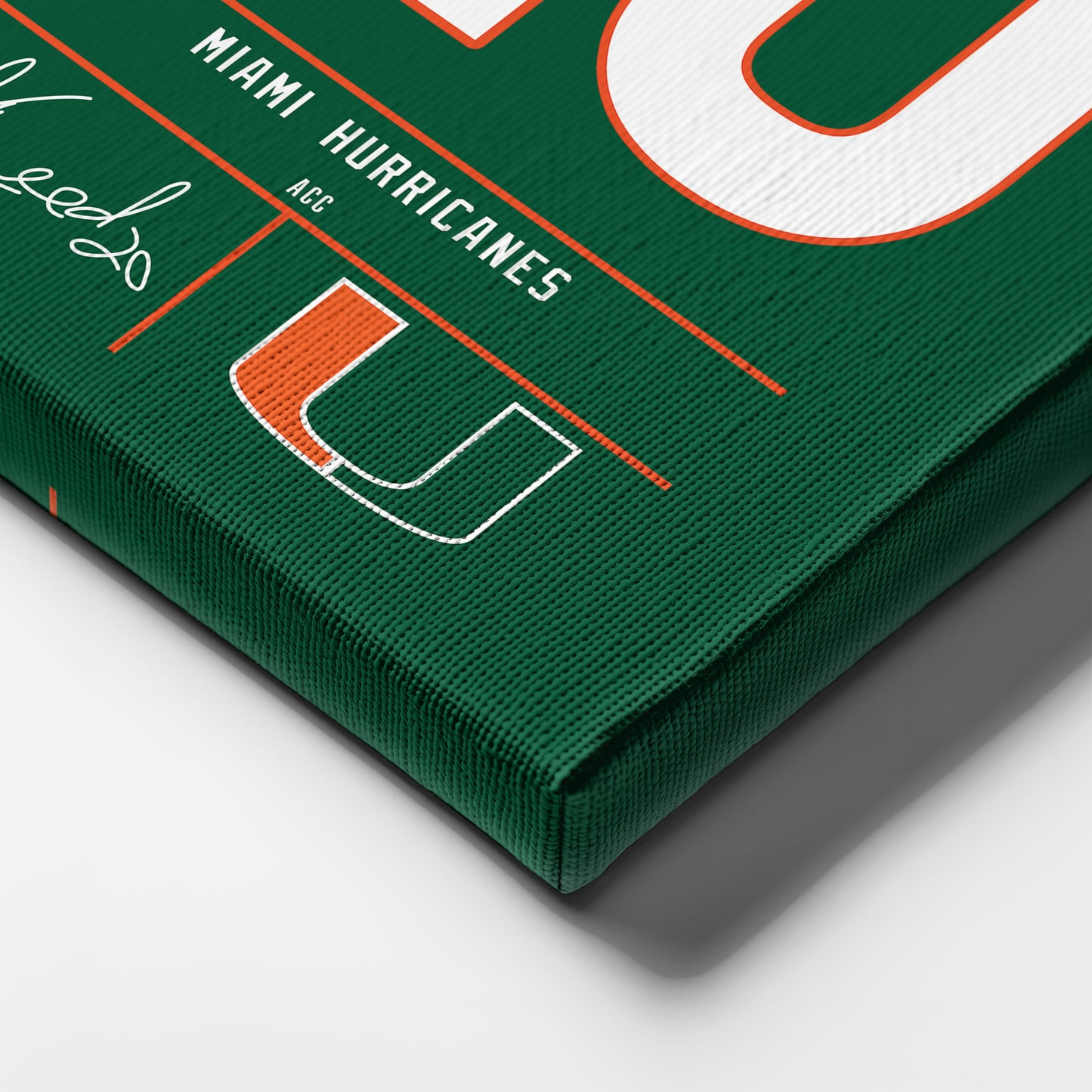 Ed Reed Hurricanes Jersey Canvas Print | Wall Art Decor