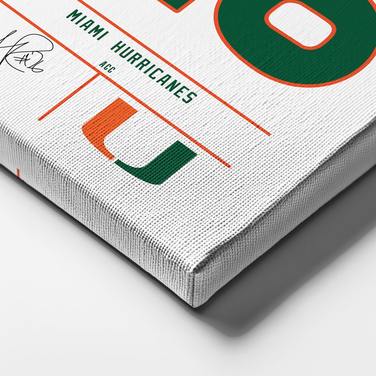 Sean Taylor Hurricanes Jersey Canvas Print | Wall Art Decor