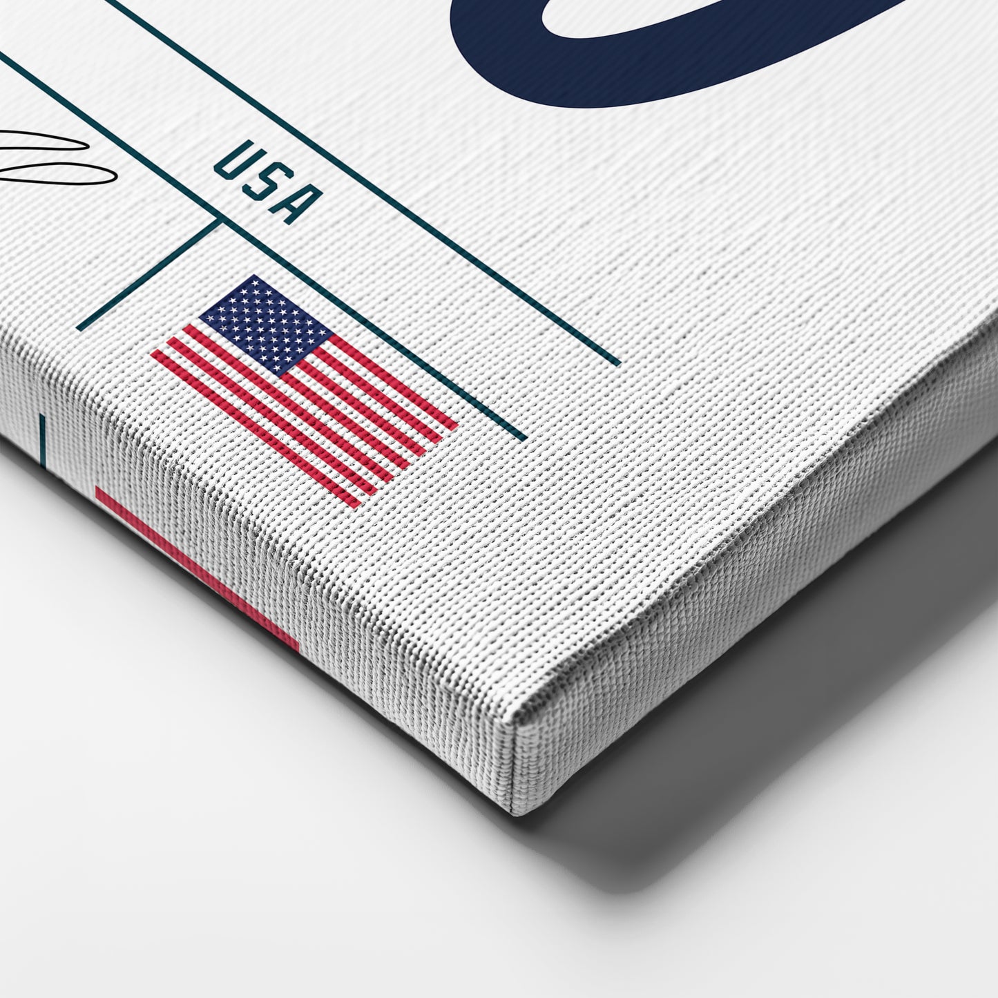 Christian Pulisic USA Jersey Canvas Wall Art