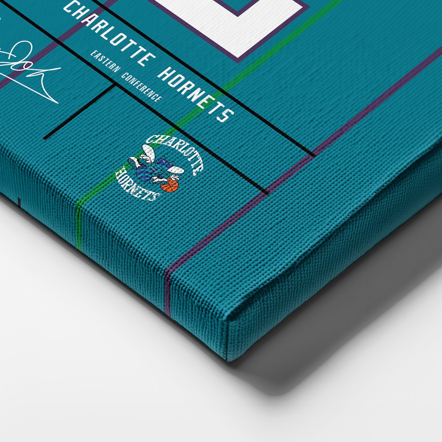 Larry Johnson Charlotte Hornets Jersey Canvas Wall Art