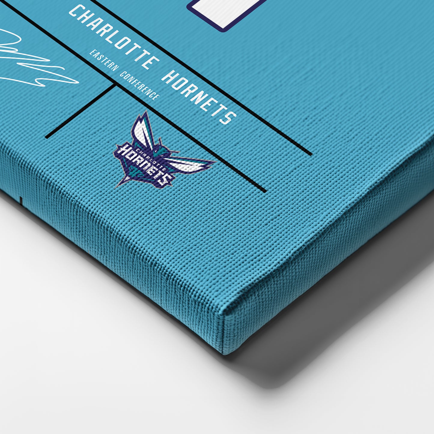 LaMelo Ball Hornets Jersey Canvas Print | Wall Art Decor