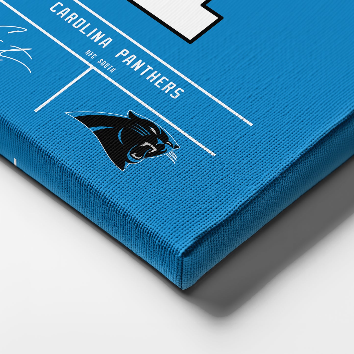 Cam Newton Carolina Panthers Jersey Canvas Wall Art