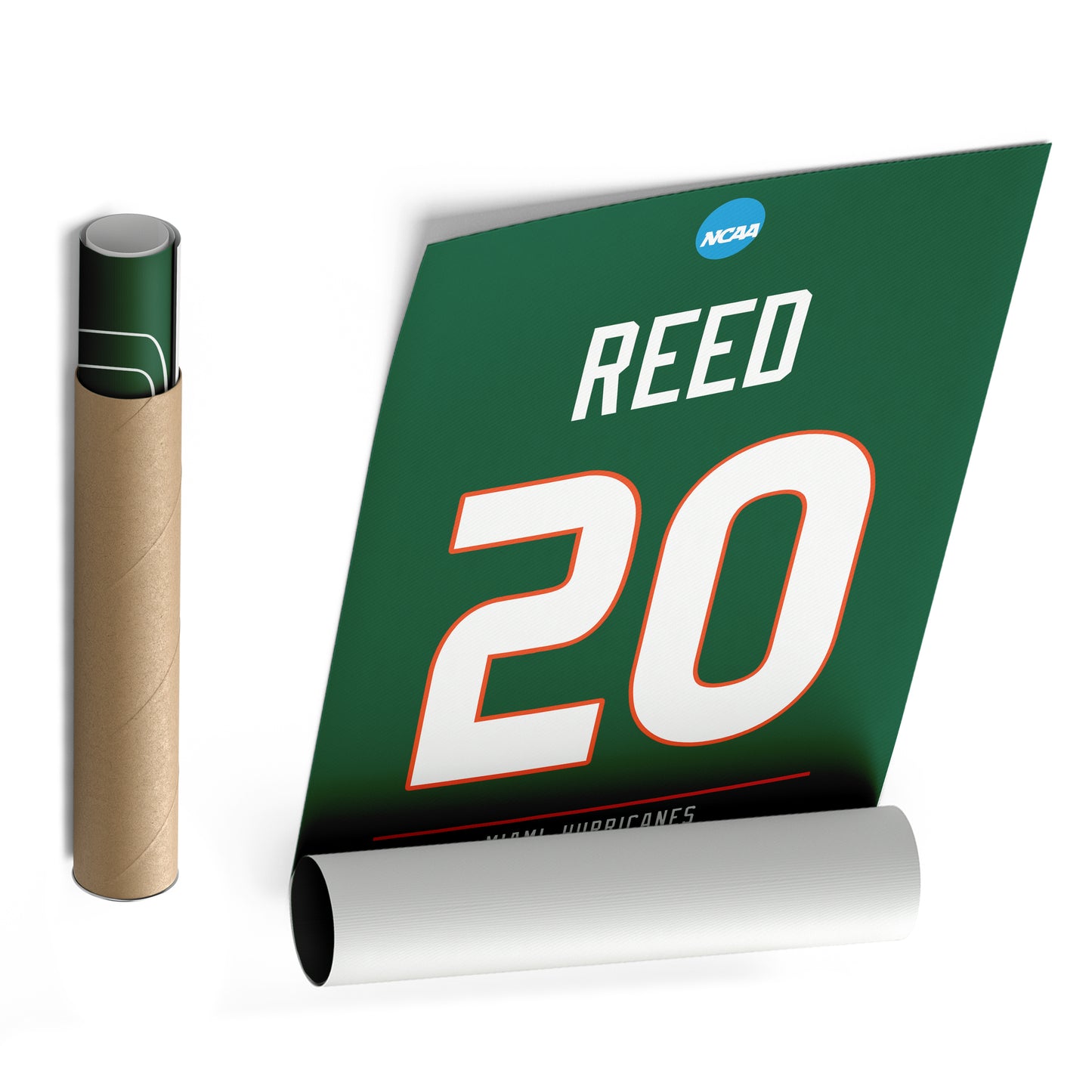 Ed Reed Hurricanes Jersey Canvas Print | Wall Art Decor